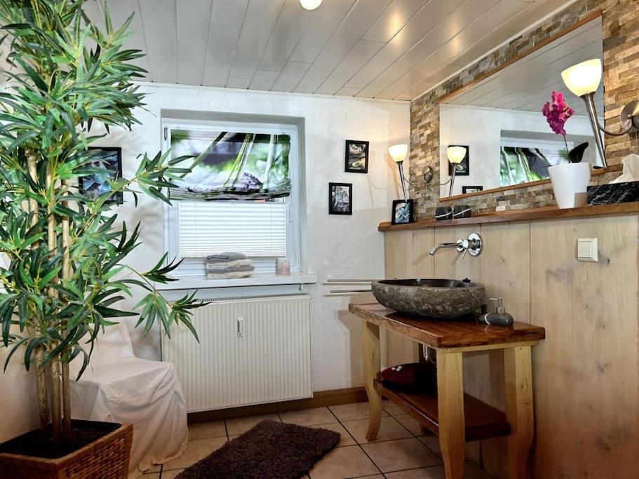 Rustikales Studio-Apartment Blockstube Im Haus Selma Grossschoenau Luaran gambar